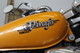 Yamaha 535 Virago 1996 (PAP042)