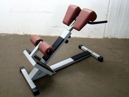 Panca lower back - Technogym