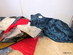 Parti: Hund & Katt (6)