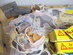Parti: Hund & Katt (6)