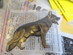Parti: Hund & Katt (6)