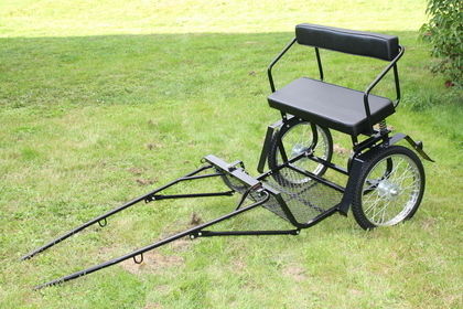 Rockard för mini-shettis