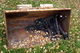 Volvo BM 430 (AXY626)