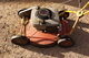 Klippo Quantum, 4hp