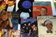 LP-skivor och vinylsinglar
