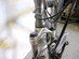 Cykel, Nishiki, Cross Hybrid 422