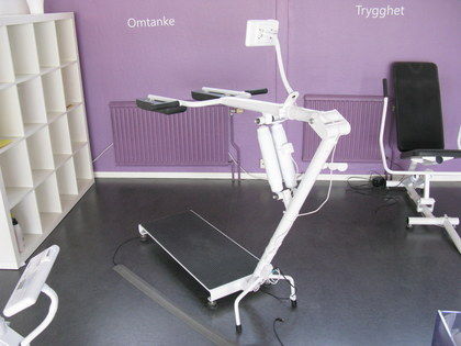 Knäböj maskin, Curves