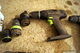 Festool maskiner