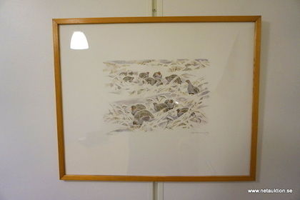 Litografier, bl.a Gunnar Brusewitz