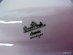 23st delar porslin, Rosenthal "Classic Rose Collection"