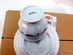 21st delar porslin, kaffekoppar mm, Rosenthal "Classic Rose Collection"
