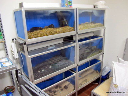 Akvarieställning