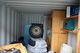 Liten container, ca 8 fot