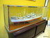 Stort modellfartyg i glasmonter, M/S Sudan