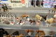 Djur och figurer, Schleich