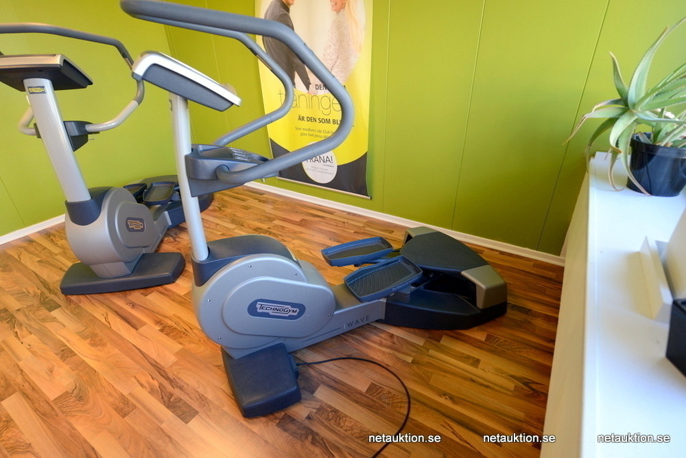 Netauktion Stairmaster, TechnoGym (nr 2)