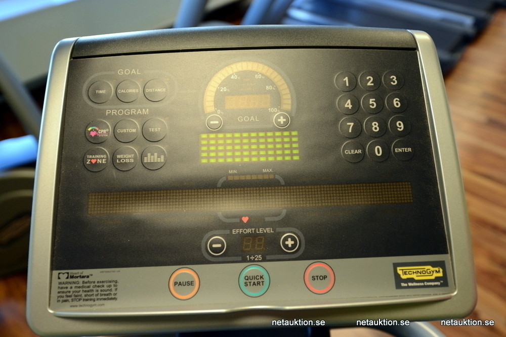 Netauktion Stairmaster, TechnoGym (nr 1)