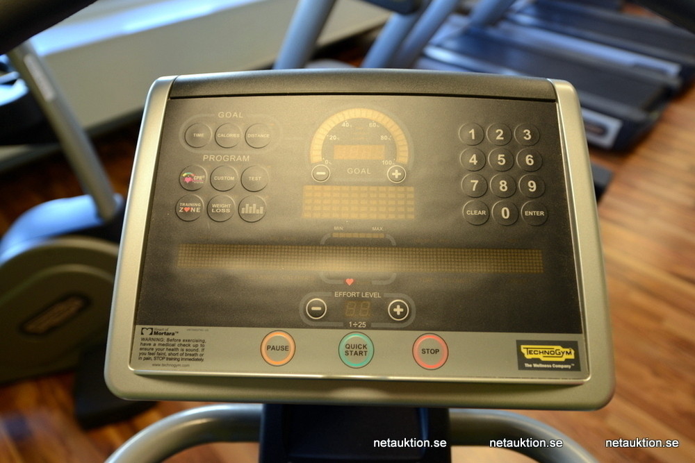 Netauktion Stairmaster, TechnoGym (nr 1)