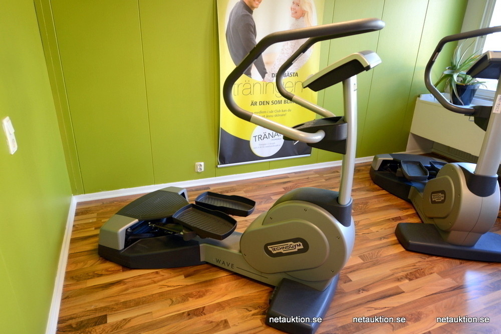 Netauktion Stairmaster, TechnoGym (nr 1)