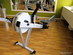 Roddmaskin, Concept 2 (nr 1)