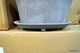 Ca 350st krukor, Rollo