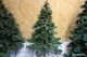Julgran Classic Pine Tree, höjd 240 cm
