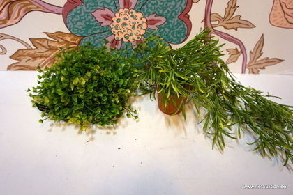 Azura halvboll och Asparagus mini, ca 810st