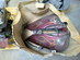 Harley-Davidson MC-projekt (1)