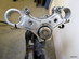Harley-Davidson, MC-projekt (2)