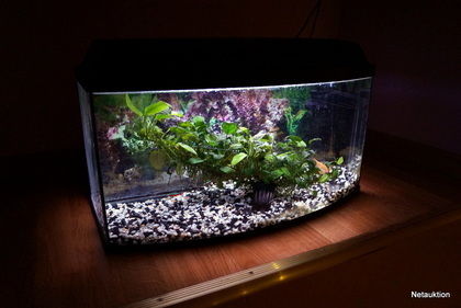 Akvarium 40L