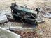 Hjullastare Allis-Chalmers 545 (Ljungby maskin)