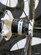 Bontrager Aeolus 3 kolfiberhjul, 2st