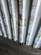 Container, 40 fot