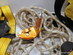 2st Petzl fallskydd
