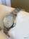 Damklockor Tajms Quartz, Silver/Vit