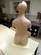 Anatomidocka, 3B