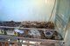 Stort terrarium 100x300x70cm