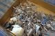 Silverskrot 1000g (2)