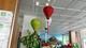 Asiatisk lampa, 17st