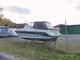 Chaparral 2550 Sport (rep.objekt)