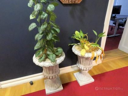 Blomsterurnor med växter, 1 par