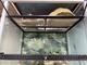 Ställ + 8 terrarium