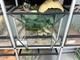 Ställ + 8 terrarium