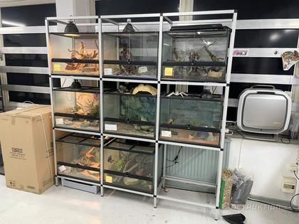 Ställ + 8 terrarium