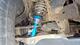 Ford Ranger Raptor dubbelhytt (CJT85S) -22