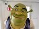 Studiofigur, Shrek ca 205cm hög, Oxmox