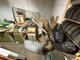 Allt i lokal  (1)