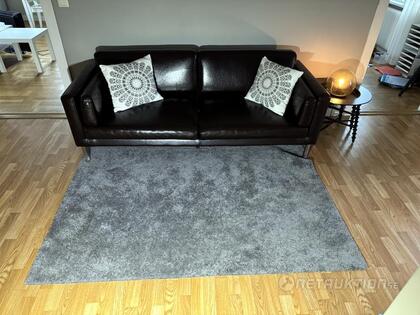 Skinnsoffa, sidobord och tavlor