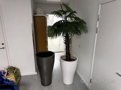 Stora krukor och konstväxt