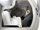Golvskurmaskin Nilfisk BR 751